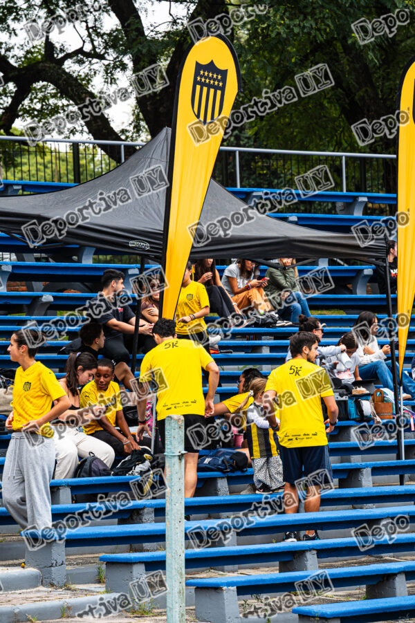 Campeonato Nacional de mayores
